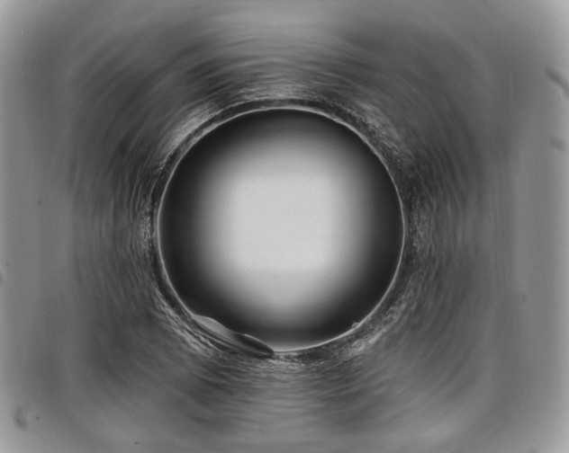 X0000098011073200803281307