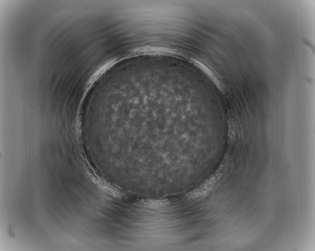 X0000098011074200803281307