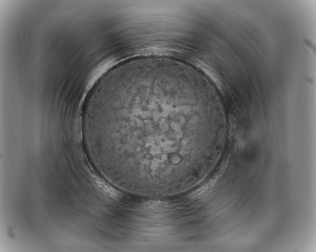 X0000098011075200803281307