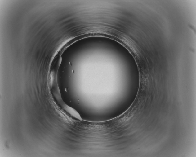 X0000098011076200803281307