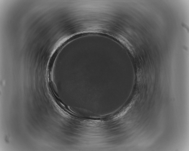 X0000098011077200803281307