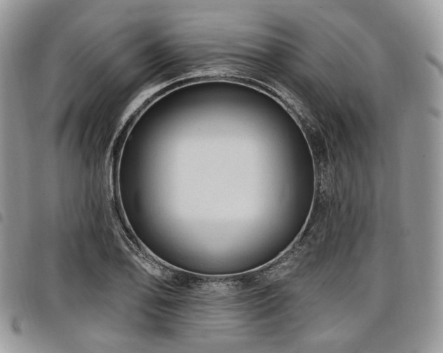 X0000098011078200803281307