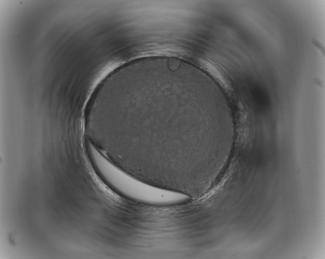 X0000098011079200803281307