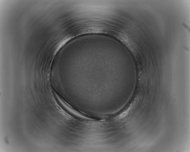 X0000098011081200803281307