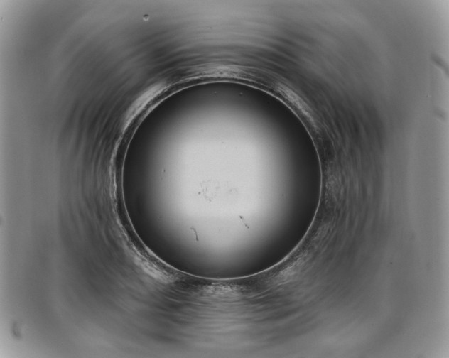 X0000098011082200803281307