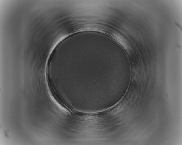 X0000098011084200803281307