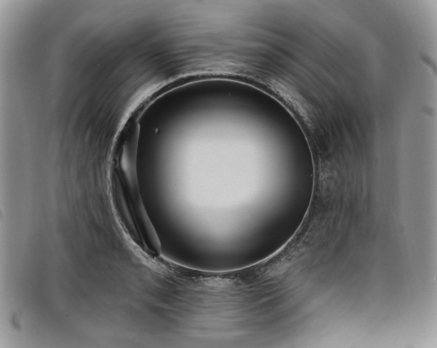 X0000098011085200803281307