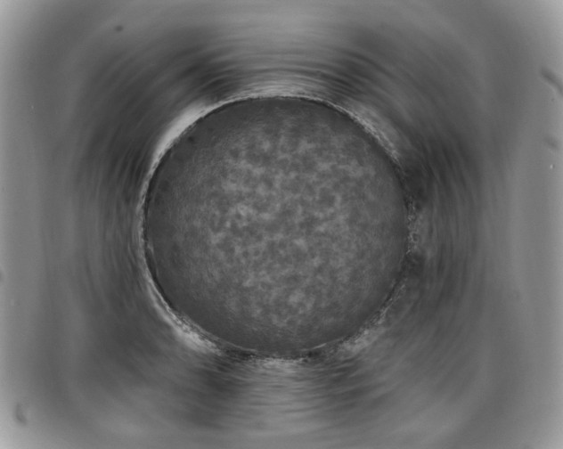 X0000098011086200803281307