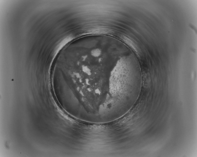 X0000098011087200803281307