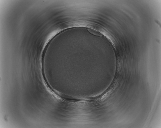 X0000098011088200803281307