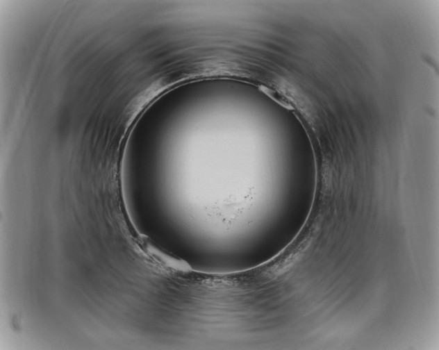 X0000098011089200803281307