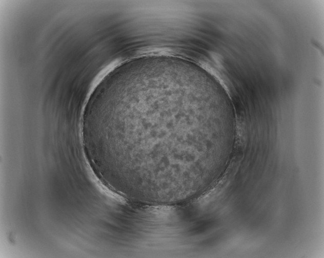 X0000098011090200803281307