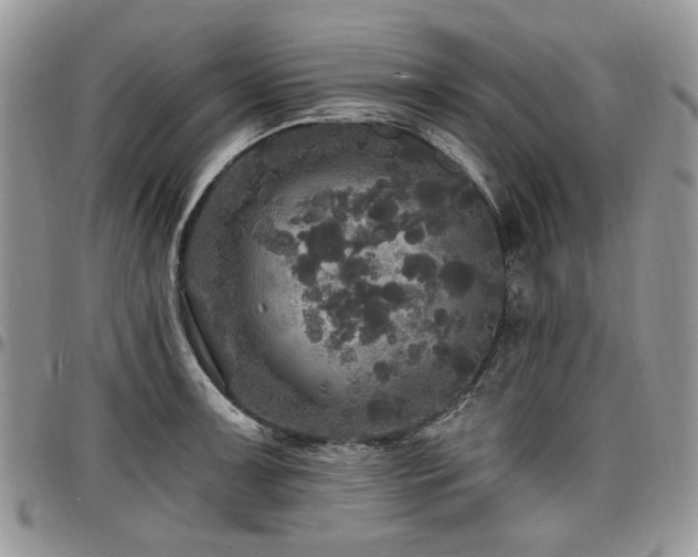 X0000098011091200803281307