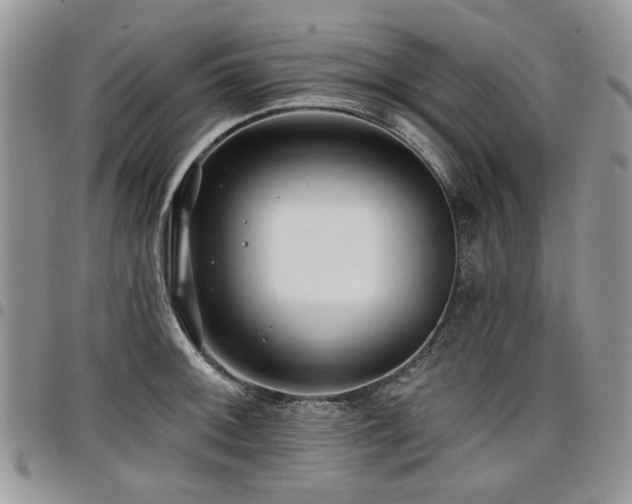 X0000098011092200803281307