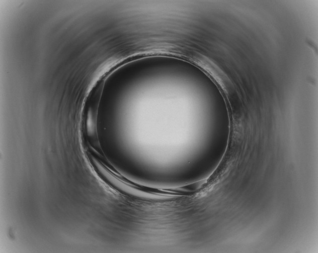 X0000098011093200803281307