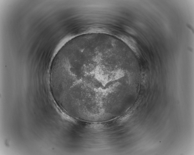 X0000098011094200803281307