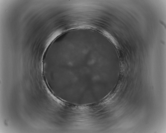 X0000098011095200803281307