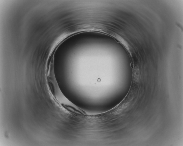 X0000098011096200803281307