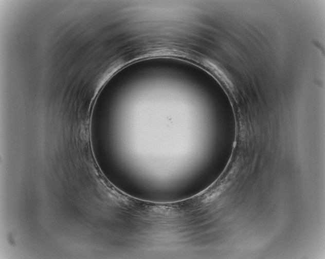 X0000098011097200803281306