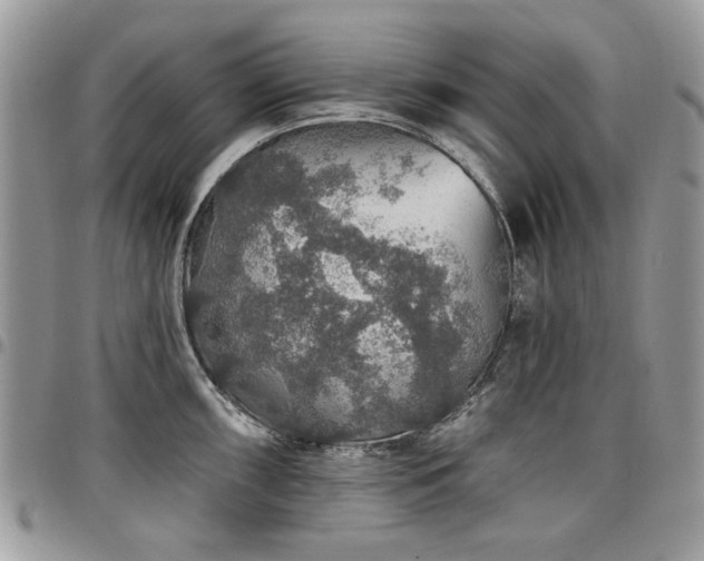 X0000098011098200803281306