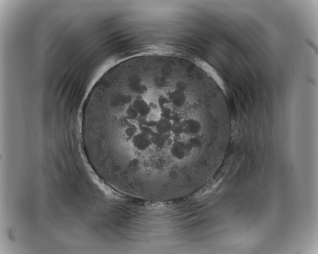 X0000098011099200803281306