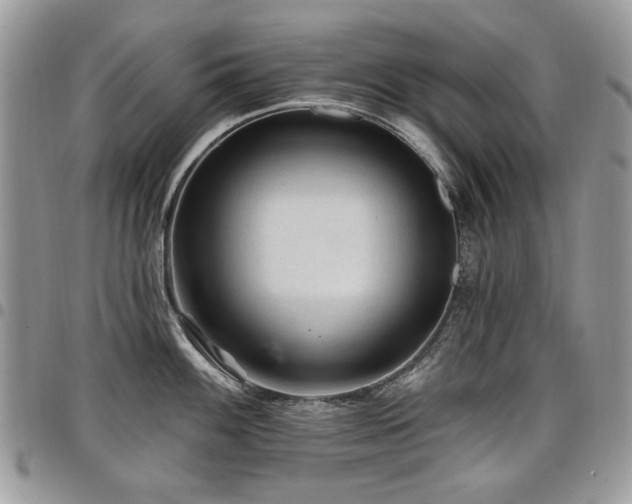 X0000098011100200803281306