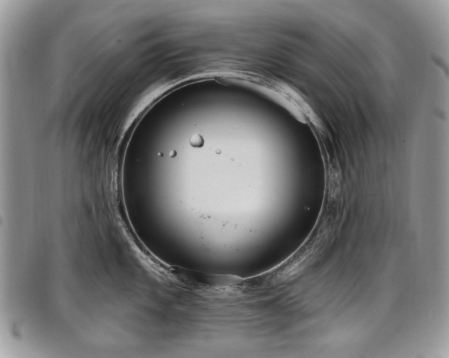 X0000098011101200803281306