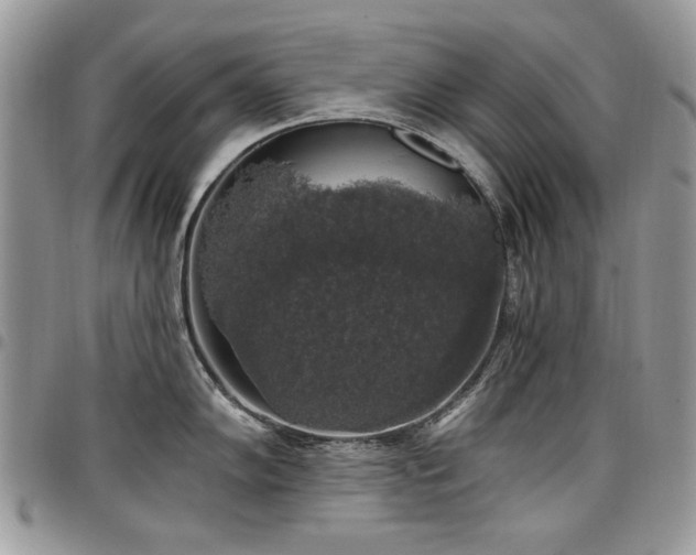 X0000098011102200803281306