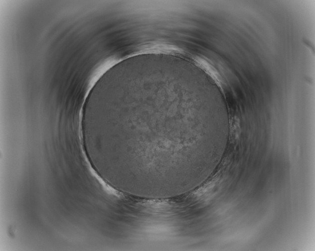 X0000098011103200803281306