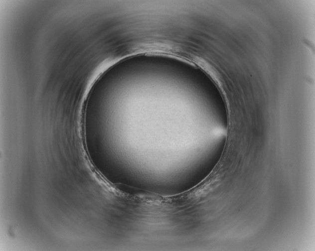 X0000098011104200803281306