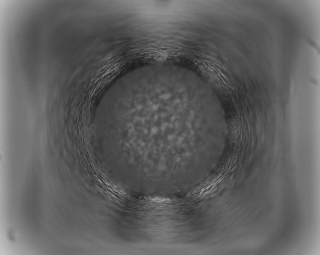 X0000098011105200803281306