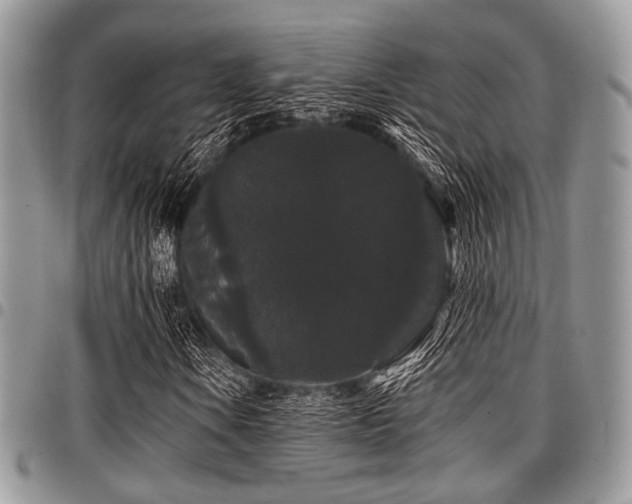 X0000098011106200803281306