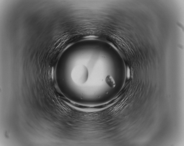 X0000098011107200803281306