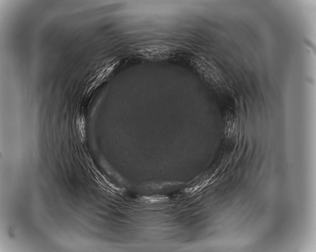 X0000098011108200803281306