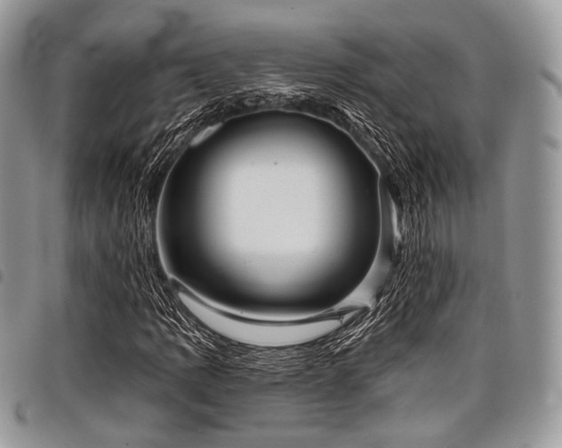 X0000098011109200803281306