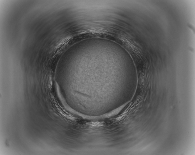 X0000098011110200803281306