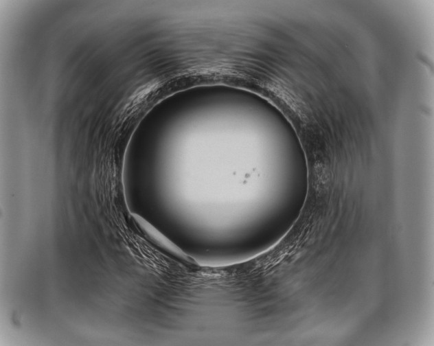 X0000098011111200803281306