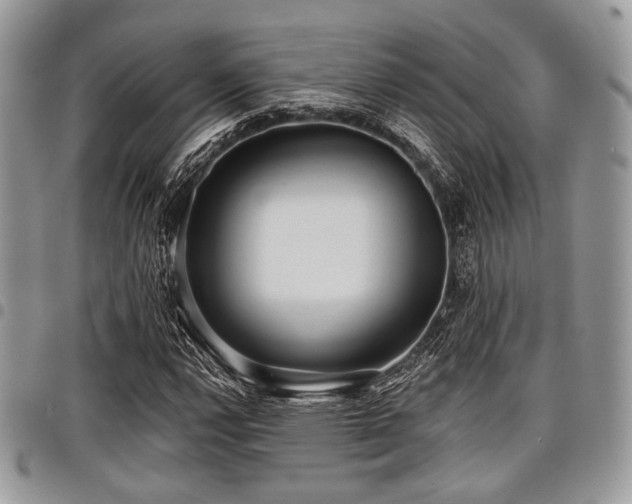 X0000098011112200803281306