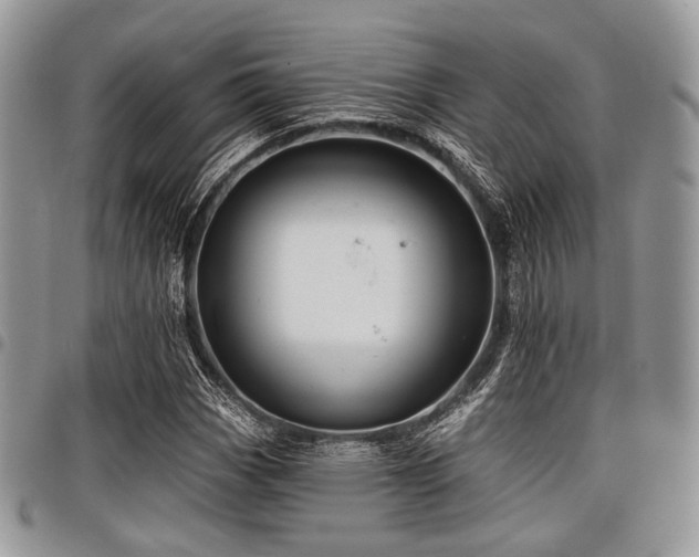 X0000098011113200803281306