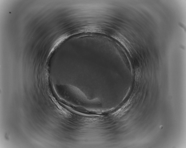 X0000098011115200803281306