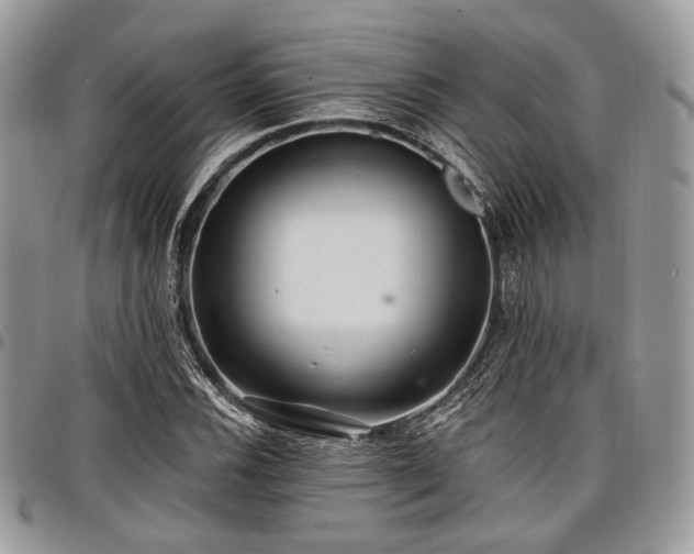 X0000098011116200803281306