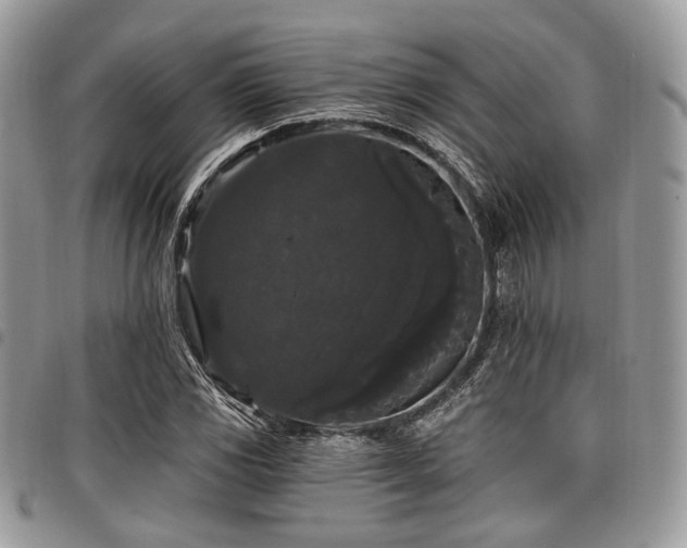 X0000098011117200803281306