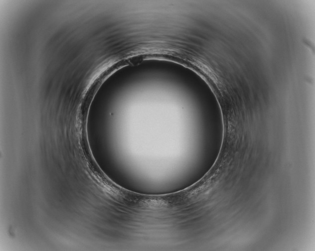 X0000098011119200803281306