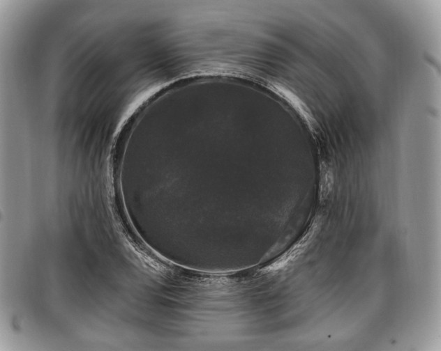 X0000098011120200803281306