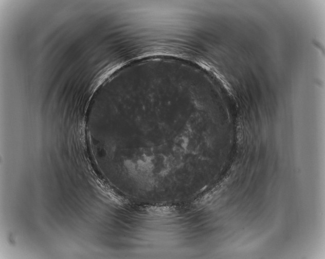 X0000098011121200803281306