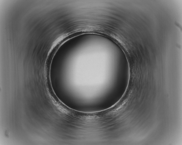 X0000098011122200803281306