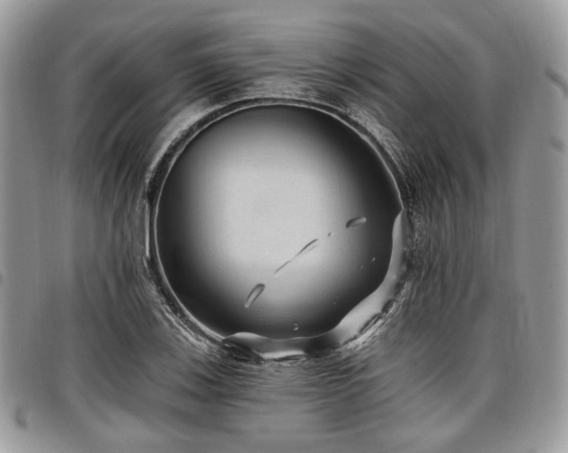 X0000098011123200803281306