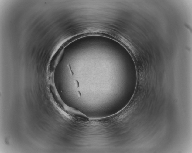 X0000098011124200803281306