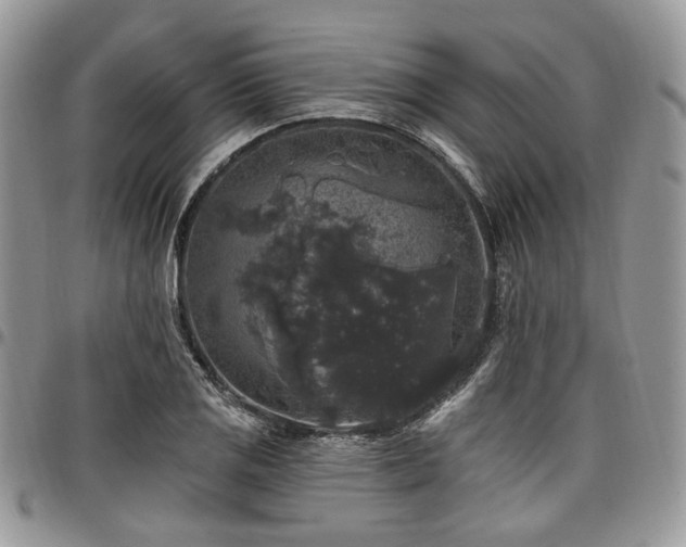 X0000098011125200803281306