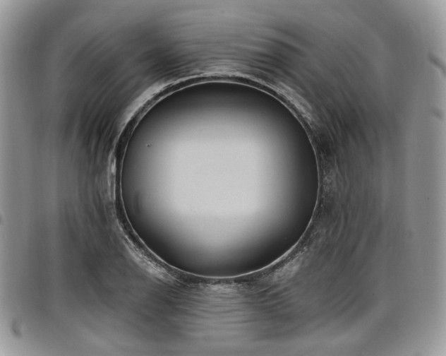 X0000098011126200803281306